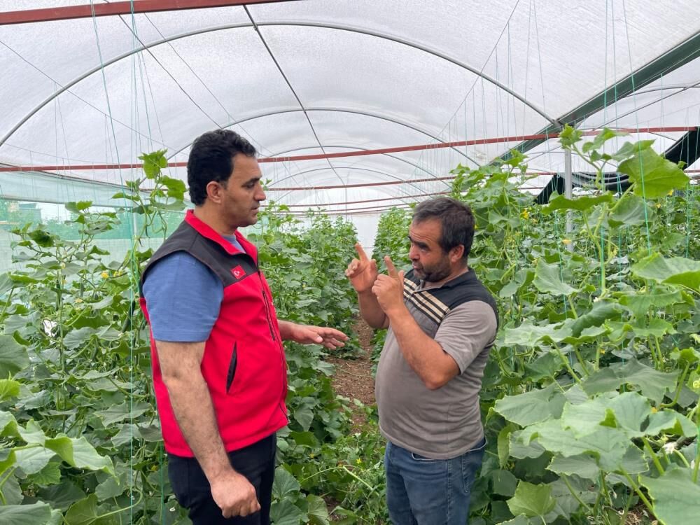 Su Bereketi Göçü Bitirdi Mevsimlik Işçiler Seralarının Patronu Oldu
