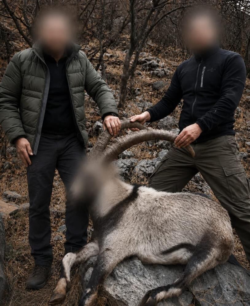 Siirt'te 5 Yaban Keçisini Kaçak Avlayanlara Ceza-1