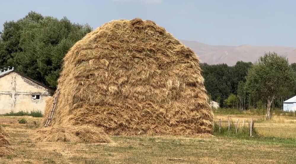 Yüksekova'da Çiftçiler Sıcağın Altında Ekmek Peşinde