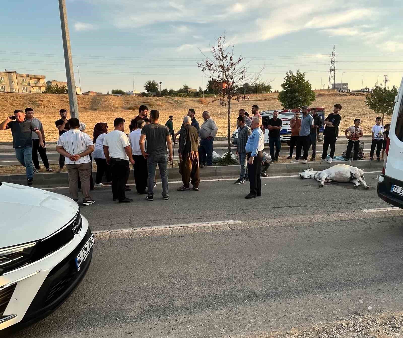 Batman'da hafif ticari araç eşeğe çarptı