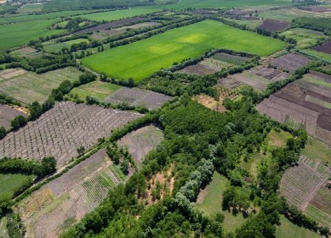 Diyarbakır'da hazine taşınmazı satışa çıkıyor: İşte ihale detayları
