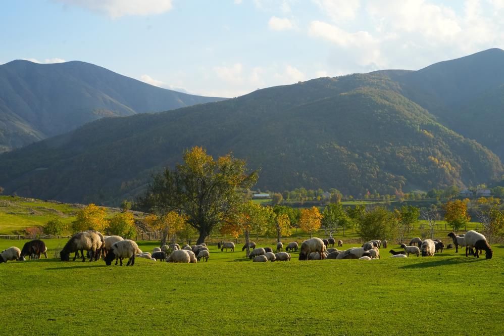Bu Zirvelerde Sonbahar Güzelliği! Diyarbakır'a Da Yakın 1