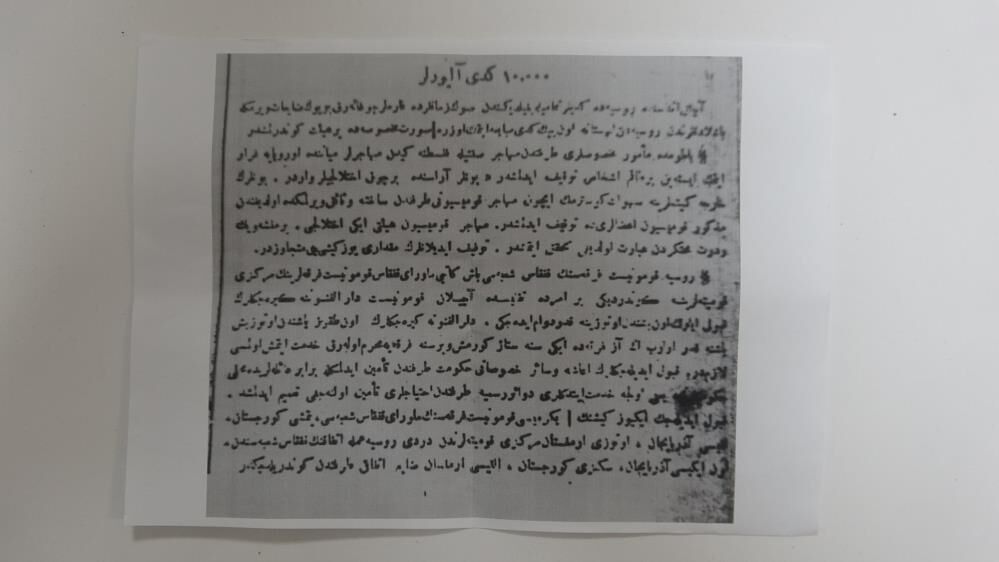 Ruslar Doğu Anadolu'da On Bin Kedinin Peşine Düştü 7