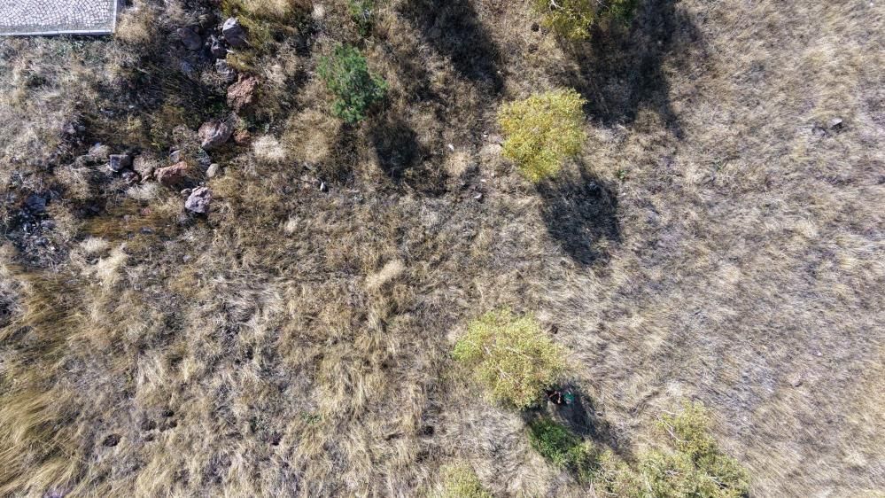 Şehit 7 Kardeş Yan Yana Yatıyor, Mezarları Bulundu 3