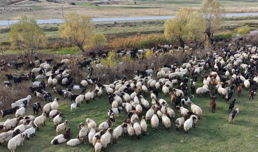 Soğuk Hava Göçü Başlattı Aileler Ve Sürüler Yollarda 3