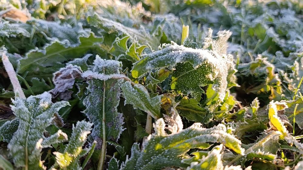 Termometre Eksi 6'Yı Gösterdi, Vatandaşlar Buz Kazıdı 1