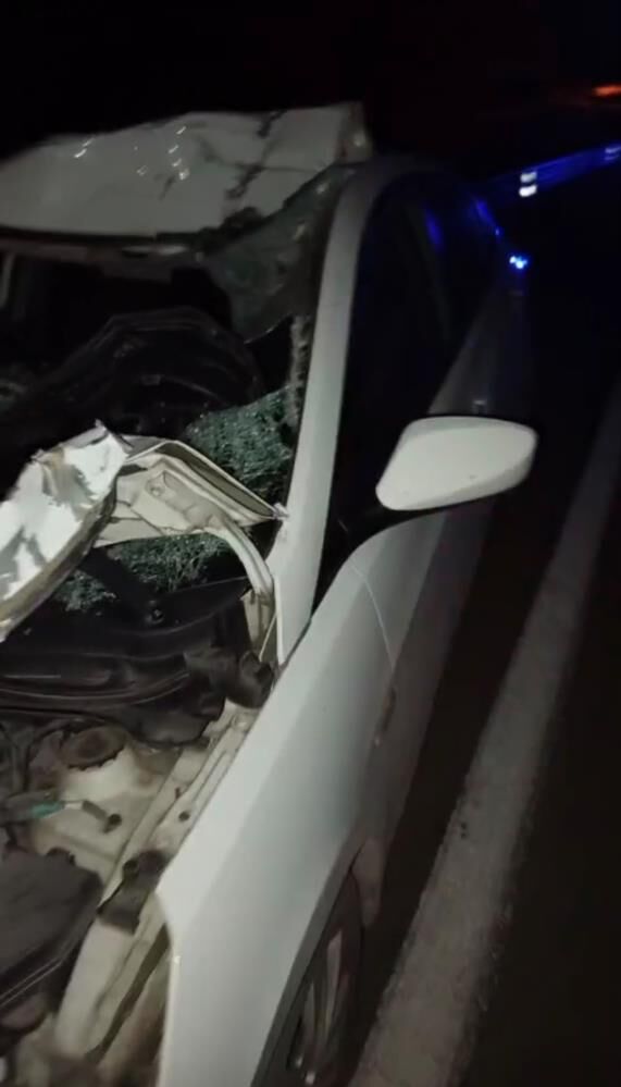 Yola Aniden Çıkan Inek Kazaya Neden Oldu 2'Si Ağır 4 Yaralı-1