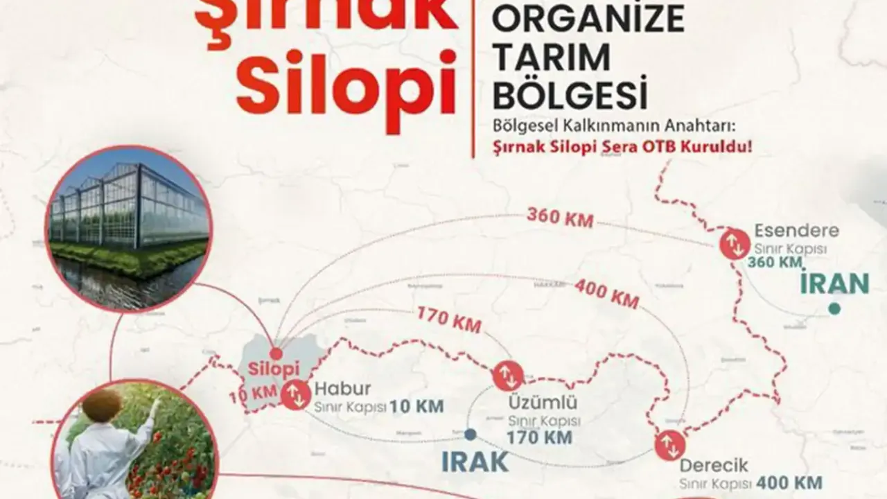 Silopi’ye ‘Sera Organize Tarım Bölgesi’ kurulacak