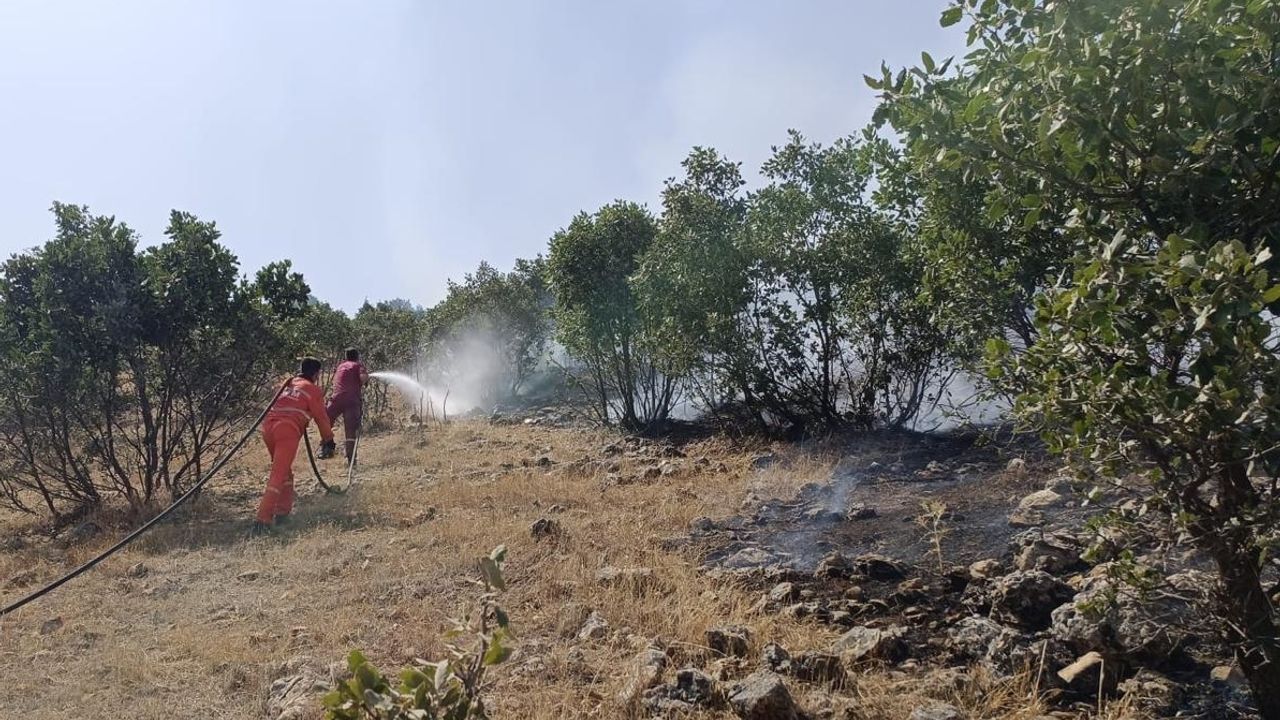 Diyarbakır'ın iki ilçesinde çıkan orman yangınları kontrol altına alındı