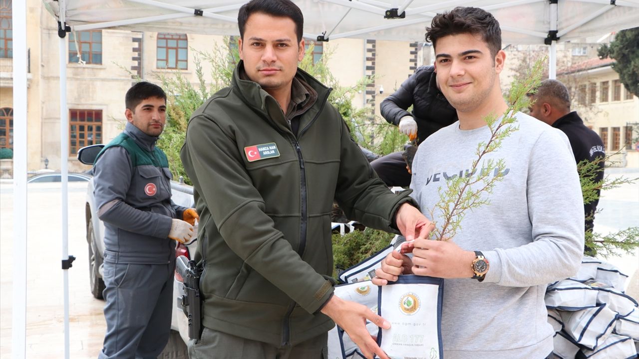 Kilis'te vatandaşlara fidan dağıtıldı