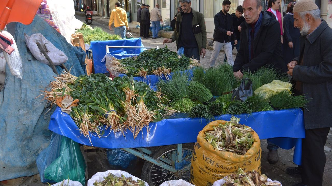 Baharın şifası soryaz, kenger ve sirik tezgahlarda