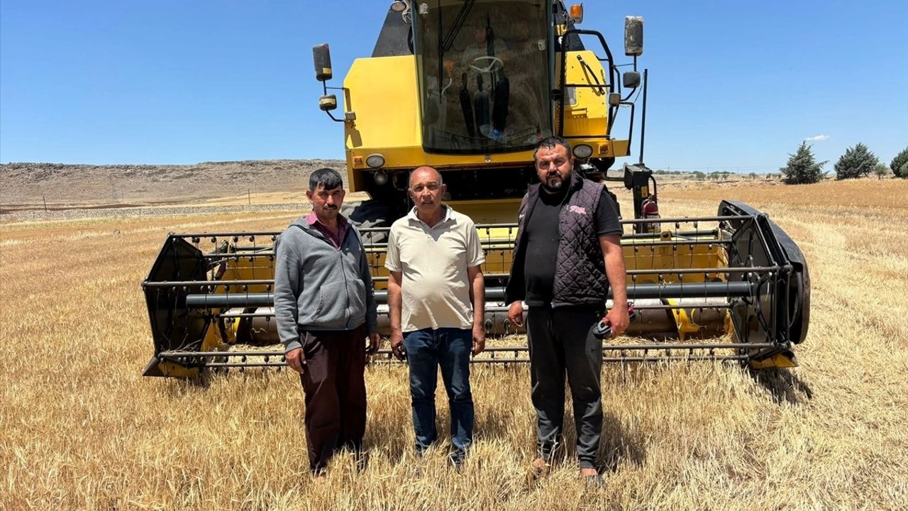 Kilis'te "anız yakmayın" uyarısı