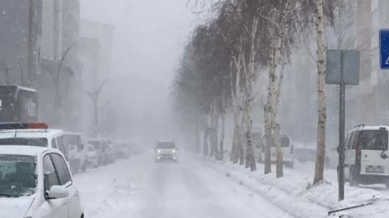Valilik duyurdu: Bitlis'te okullar tatil edildi