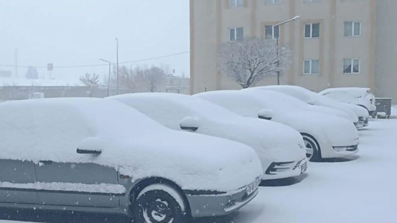 Bitlis’te nisan ayında kar yağışı etkili oldu