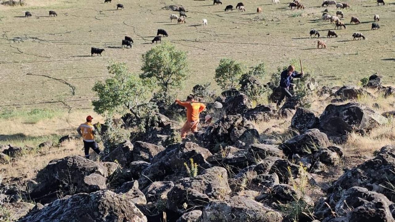 Bitlis'te çıkan yangında 500 dönüm kül oldu