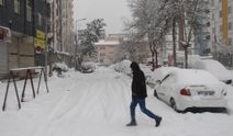 Diyarbakır’da yoğun kar yağışı hayatı durdurdu