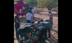 Ağaçtan düşen adam ambulans helikopterle hastaneye kaldırıldı