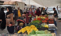 Yerli ürünlerin çıkması sebze ve meyve fiyatlarını düşürdü