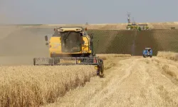 Tarımsal destekleme ödemeleri çiftçilerin hesabına aktarılacak