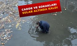 Şanlıurfa'da sağanak su baskınlarına neden oldu