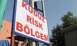 Başıboş sokak köpeğinin saldırdığı şahıs karantinaya alındı