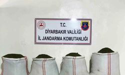 Diyarbakır'da büyük uyuşturucu operasyonu