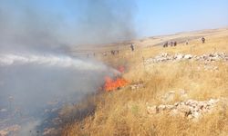 Mardin'de çıkan örtü yangınları söndürüldü