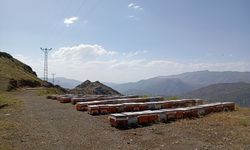 Siirt'te heyelan nedeniyle bozulan yayla yolu yeniden açıldı