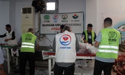 Diyarbakır'da 4 yardım kuruluşundan ortak kurban eti organizasyonu