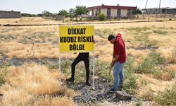 Şanlıurfa'da 1 mahalle kuduz nedeniyle karantinaya alındı