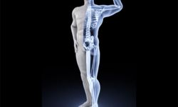 Osteoporoz ve Kemik sağlığı üzerine önemli bilgiler