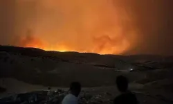 Dicle Elektrik'ten çıkan anız yangına ilişkin açıklama