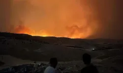 Diyarbakır ve Mardin'deki yangın felaketinde bine yakın hayvan telef oldu, binlerce dönüm yandı