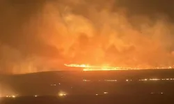 Diyarbakır ve Mardin yangınlarının görüntüleri ortaya çıktı