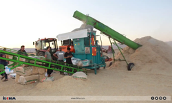 ​Kavurucu sıcaklar altında çalışan saman işçilerinin zorlu mesaisi