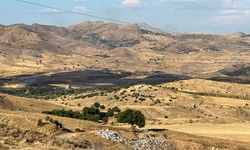 Diyarbakır-Elazığ sınırında çıkan tarla yangını güçlükle söndürüldü