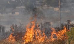 Kahramanmaraş'ta orman yangını