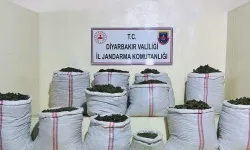 Diyarbakır'da milletin evlatlarını zehirleyenlere operasyon