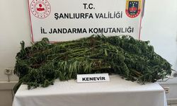 Şanlıurfa'da uyuşturucu operasyonlarında 5 şüpheli yakalandı