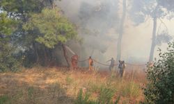 Tokat'ta orman yangını sündürüldü