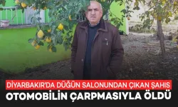 Diyarbakır'da otomobilin çarptığı şahıs hayatını kaybetti