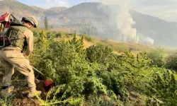 Diyarbakır'da PKK bağlantılı halkı zehirleyenlere yönelik uyuşturucu operasyonu