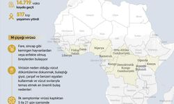 Afrika Kıtası, Hızla Yayılan M Çiçeği Salgınıyla Karşı Karşıya