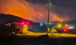 Manisa'da orman yangınları nedeniyle 1440 kişi tahliye edildi