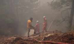 Muğla'daki orman yangınlarıyla ilgili 3 tutuklama