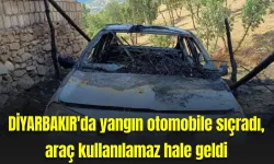 Diyarbakır'daki yangında bir otomobil kullanılamaz hale geldi