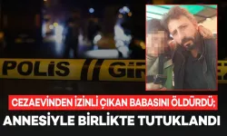 Diyarbakır'da aile cinayeti: Oğul babasını öldürdü