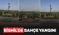 Diyarbakır Bismil’de bahçe yangını