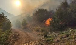 Kahramanmaraş'taki orman yangını kontrol altında