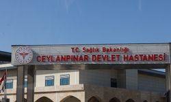 Şanlıurfa’da akraba aileler arasında silahlı kavga: Bir ölü